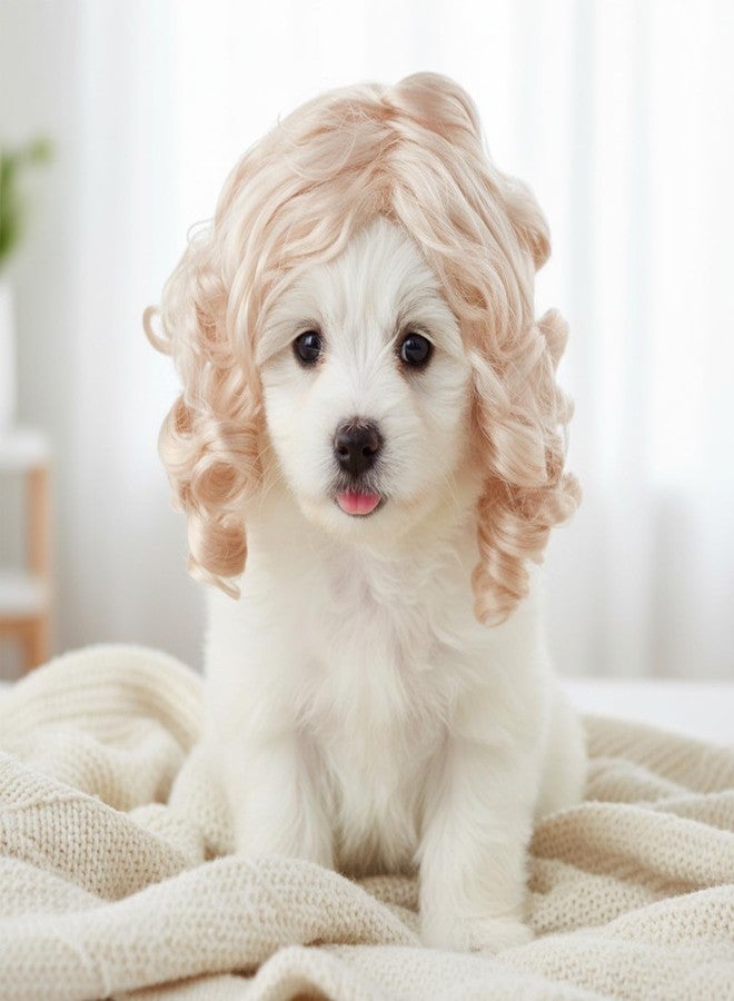 Elegaperma Dog Wigs, Funny Dog Wig Blonde, Adjustable Elastic Bands Wig for Dogs, Blonde Dogs Wigs for Pet Costume Puppy Cat Cosplay Decoration for Small Medium and Large Pets - Image 4